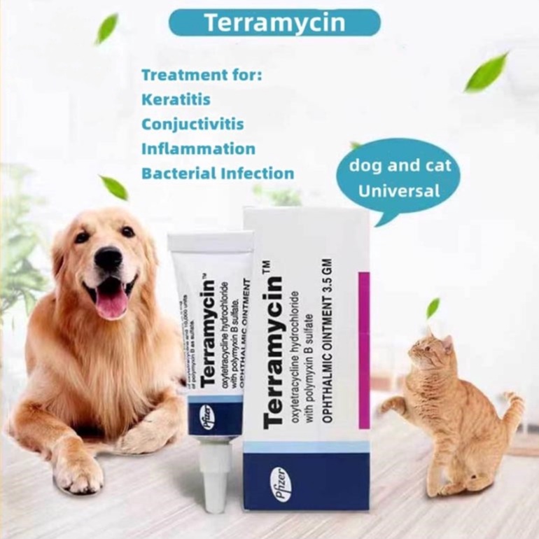 Terramycin Ophthalmic Ointment For Dog Cat Conjunctiva For Pets Animals Corneas Inflamed Eyes 3