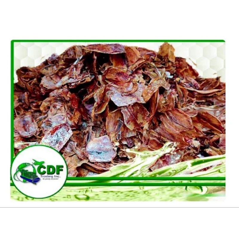 Dried Pusit or Squid (Small) 100grams Shopee Philippines