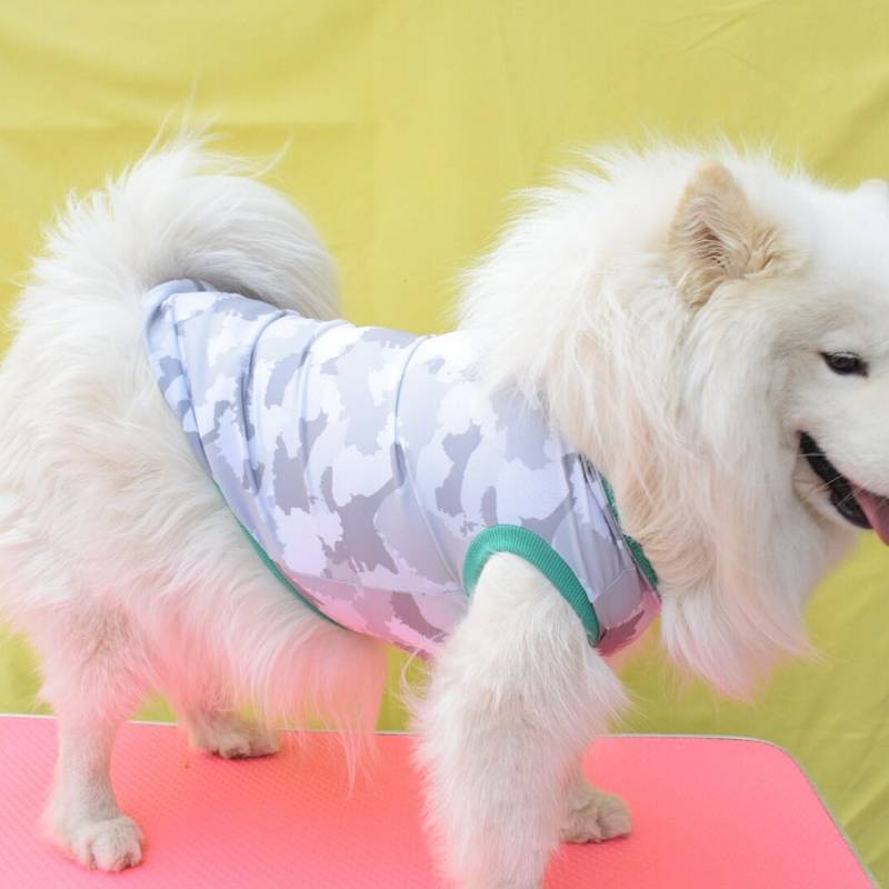 Spring and Summer New Dog Smooth Surface Anti-Sweater Shiba Inu Husky Golden Retriever Akita Teddy Alaska Dog Clothes vNSw #8