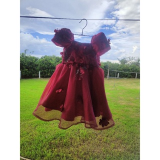 Zeraphina's Preloved - Filipiniana Gown for 12-18months (3) #4