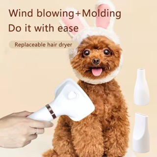 Dog Hair Blower Low noise 2 in 1 portable pet dryer Pet hair dryer Dog hair dryer and comb #3