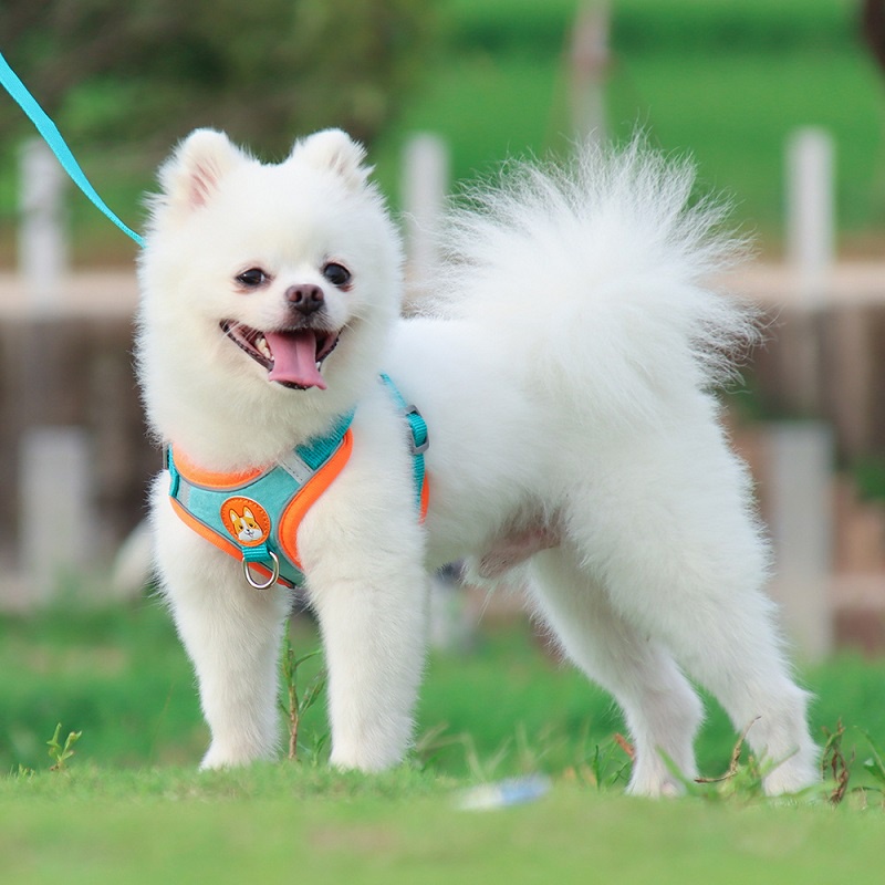 Pet Dog Harness With Leash Pet Adjustable Reflective Harness Vest Puppy Harness Vest for Dog Cat #7