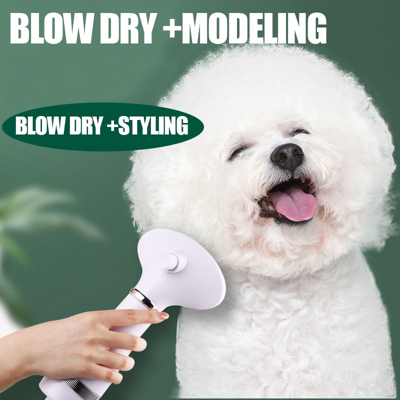 2 in 1 Portable Pet Dryer Dog Hair Dryer & Comb Pet Grooming Cat Hair Comb Dog Fur Blower Low Noise #2