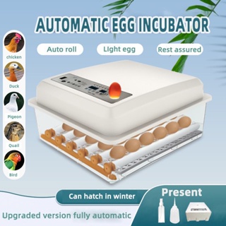 Incubator For Egg Egg Incubator For Chicken 64 Egg Tary Egg Incubator Fully Automatic 220V