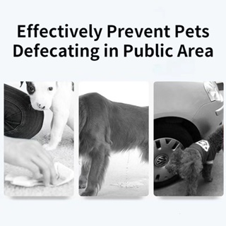 Pet Defecation Inducer Dog Potty Toilet Training Aid Spray 60ml