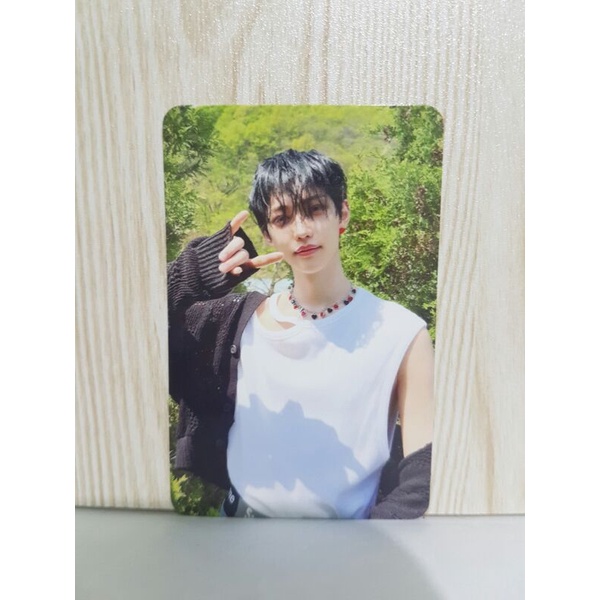 Stray Kids Felix Maxident Target Official Photocard | Shopee Philippines