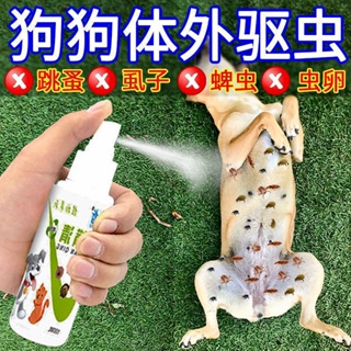 ┅Cat anthelmintic cat in vitro insecticide kitten in vitro deworming pet cat to remove lice and ti #8