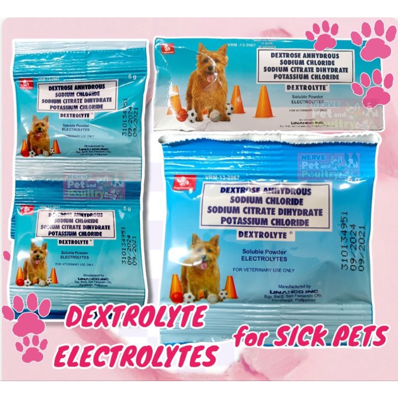 Dextrolyte Soluble Powder Electrolytes for Sick Pets 5g Shopee