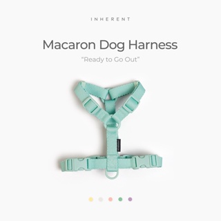 [INHERENT] Macaron Dog Harness