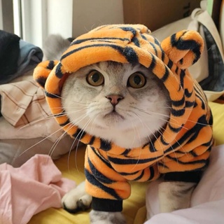 Cotton Warming Thicker Version Winter Essentials Pet Clothing Halloween Pets Dog Puppy Hoodie Clothes Cute Tiger Party Cosplay Costume For Dogs and Cats