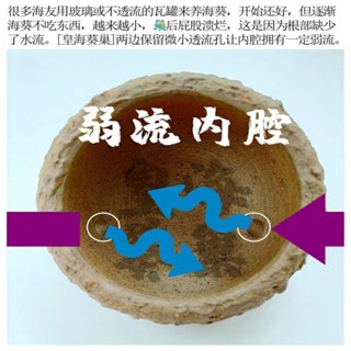 Royal Anemone Nest Pacifier Cup Anemone Anti-running Nest House Coral Jar Fish Tank Landscaping Deco #4
