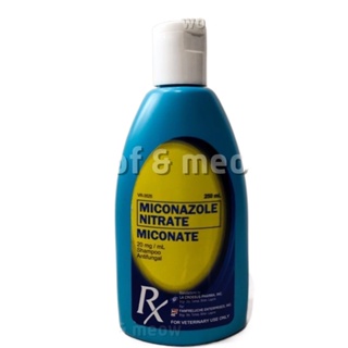 ﹍Miconate shampoo Anti-Fungal Shampoo 250ML