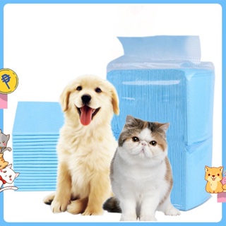 Pet dog diaper changing pad super absorbent diapers cat training urinal pad puppy diapers