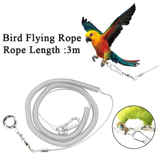 Alloy Flying Rope For Bird Supplies Parrot Leg Ring Flexible Bird Chain Belt Parrot Anklet Outdoor F