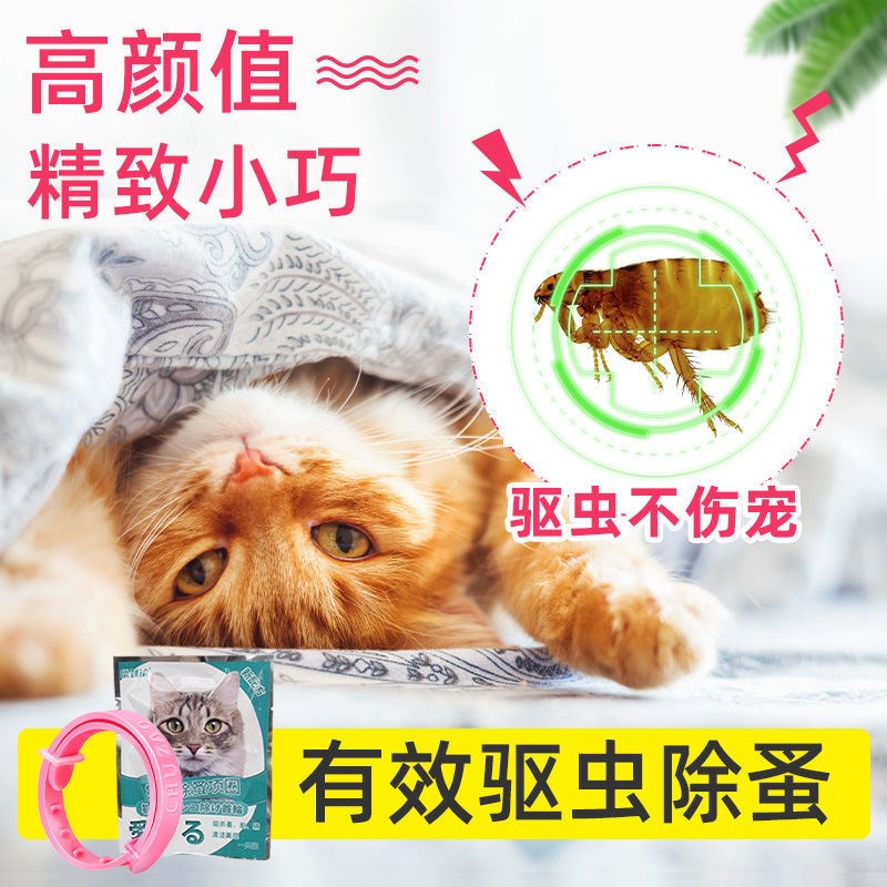 ◇₪Cats and dogs in addition to flea ring in vitro deworming drops pet dog cat collar cat and dog ant
