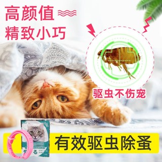 ◇₪Cats and dogs in addition to flea ring in vitro deworming drops pet dog cat collar cat and dog ant #4