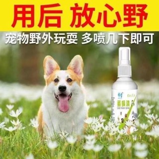 ┅Cat anthelmintic cat in vitro insecticide kitten in vitro deworming pet cat to remove lice and ti #4