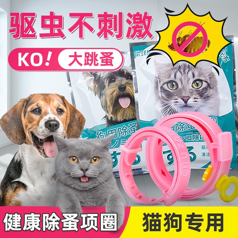 ◇₪Cats and dogs in addition to flea ring in vitro deworming drops pet dog cat collar cat and dog ant #1