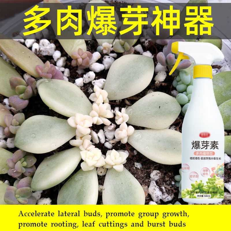 Succulent plant bursting nutrient solution 500ml bursting element foliar fattening and coloring to promote growth