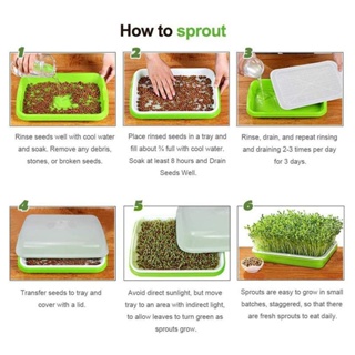seedsPlanters & Pots 3-Pack Seed Sprouter Tray Soil-Free Big Capacity Healthy Wheatgrass Grower  #8