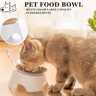 Cat DOG Elevated Bowls 15 DEGREE Raised Food Container With Stand Pet Bowl