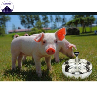 Stainless Steel Piglet Feeding Trough 25*6cm Piglet Fodder Feeder Bowl