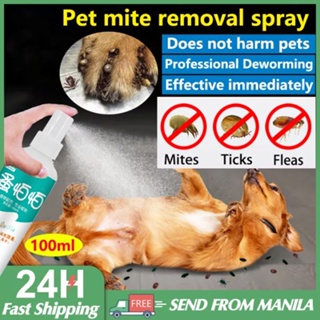 Pet Anti Tick And Flea Spray Fast Effective Anti Garapata For DogCat Natural Herbal Dog Lice Killer