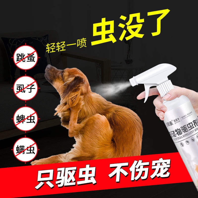 Pet insecticide spray household cat lice medicine flea medicine tick medicine deworming artifact d