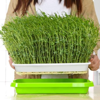 seedsPlanters & Pots 3-Pack Seed Sprouter Tray Soil-Free Big Capacity Healthy Wheatgrass Grower  #9