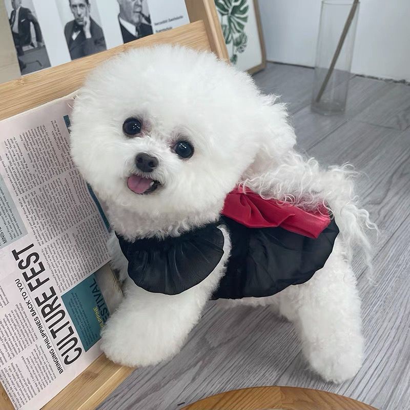 Champagne Dog Clothes Black Dog Dress for Shih Tzu Birthday 1st Pet Princess New Year Wedding Costume with Big Red Bowknot Christmas Outfit #3