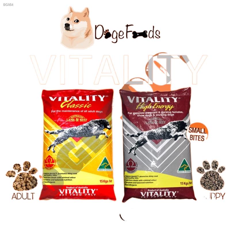 Motorcycles  VITALITY - Puppy and Adult