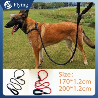 【Heavy Duty】Pet Dog Thick Leash Adjustable Collar,Nylon Walking Training Leash for Big Dogs