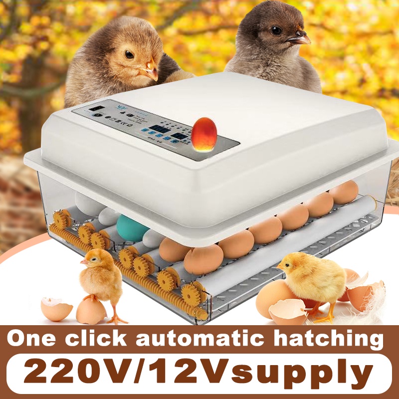 16/36/64/120 Egg incubator fully automatic chicken duck poultry hatcher Thermostat incubator 220