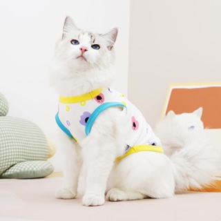 Cat Clothes Small Dog Summer Thin Vest Teddy Pomeranian Bichon Two-Legged Pet Spring Autumn New Style
