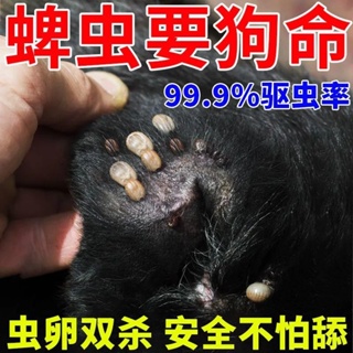 ✎[Safety not afraid of licking] Deworming medicine for dogs and cats in addition to fleas, lice and