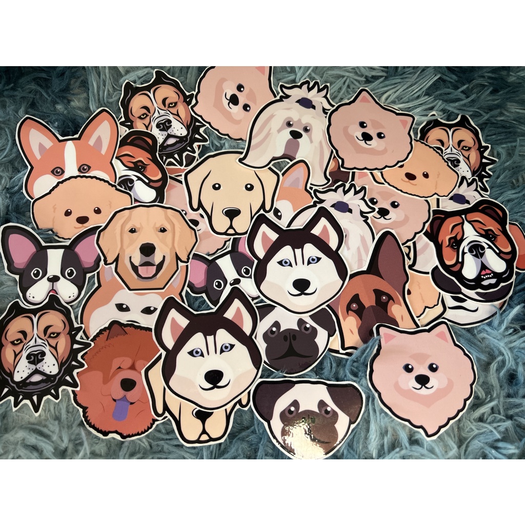 Dog Cute Sticker Pet Sticker Vinyl High Quality Sticker Good for