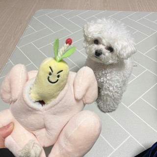 ◎Ginseng Chicken Soup Toy Set Broiler Dog Tibetan Food Sound Toy Interactive Puzzle Tour Throwing S #3