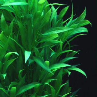 Aquarium Plants Fish Tank Plants Artificial Water Aquatic Tall Plant Red Green Big for Fish Frog Tan #2