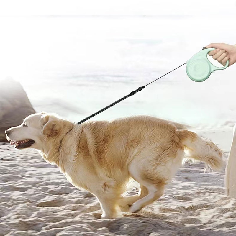 Pet Dog Automatic leash Telescopic  walking lead rope flexible convenience dog cat  leash  harness #3
