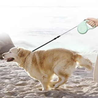 Pet Dog Automatic leash Telescopic  walking lead rope flexible convenience dog cat  leash  harness #3