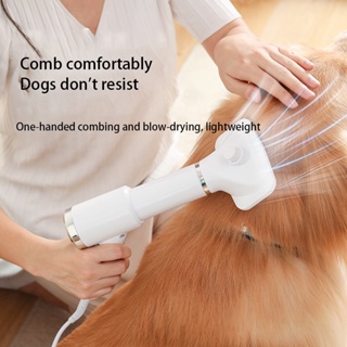 Pet hair comb dog cat 2 in 1 hair dryer hair removal comb cleaning beauty hot air comb handheld groo