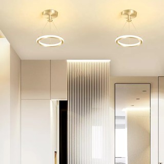 Chandelier Nordic Modern Pendant Light Gold Hanging Lamp for Cloakroom Dining Room Decorative Lights #9