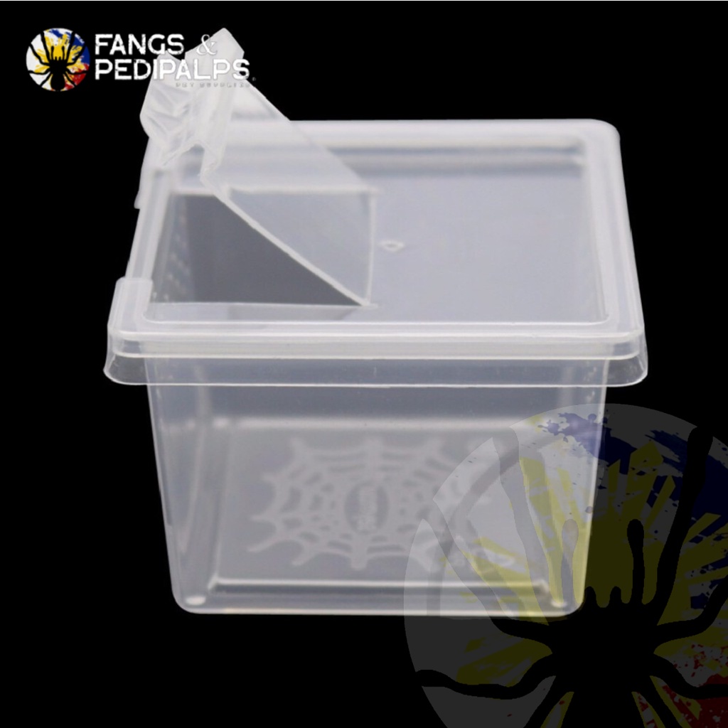 (Wholesale) Square Terrestrial Breeding Box (Small) | Terrarium | Tarantula & Scorpion Enclosure