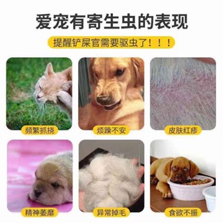 ┅Cat anthelmintic cat in vitro insecticide kitten in vitro deworming pet cat to remove lice and ti #7