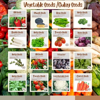 Vegetables Seeds - Kamatis Talong Pechay Ampalaya Carrot Sili Lettuce Herbs Okra atbp seeds
