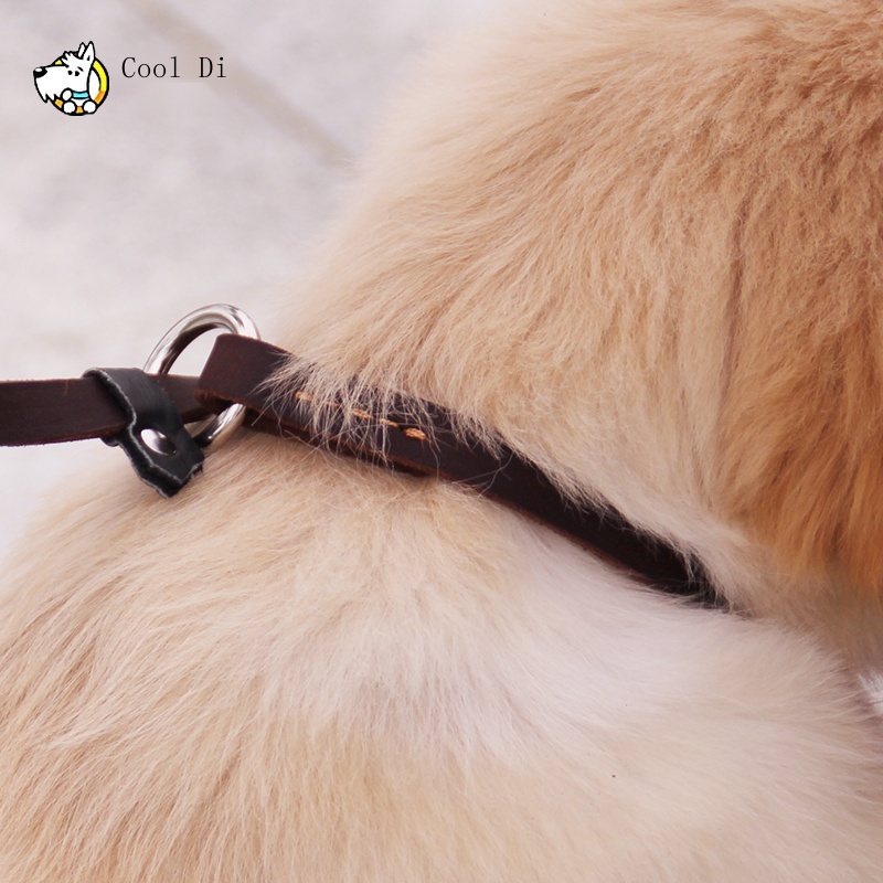 dog laceCollar traction integrated leather chain belt medium and large dog half P pet rope pull #3
