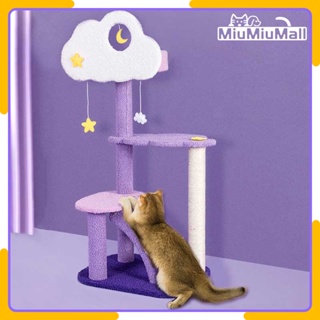 MiuMiu Cat Condo Cat Tree Cat House Cat Toys for Kitten Climb Frame With Plush Scratcher