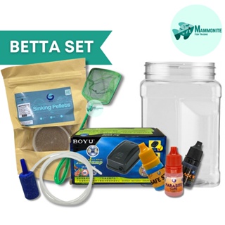 Aquarium Betta Fish Essential Care Set Bundle Deal Filter Air Pump