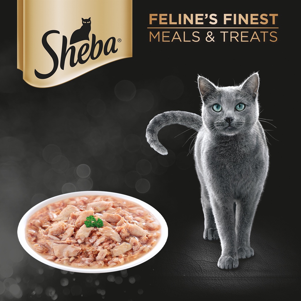 SHEBA Wet Food for Cats – Tuna Flavor Cat Food Wet (6-Pack), 70g. #2