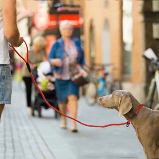Dog training leash GABAY MANUAL large